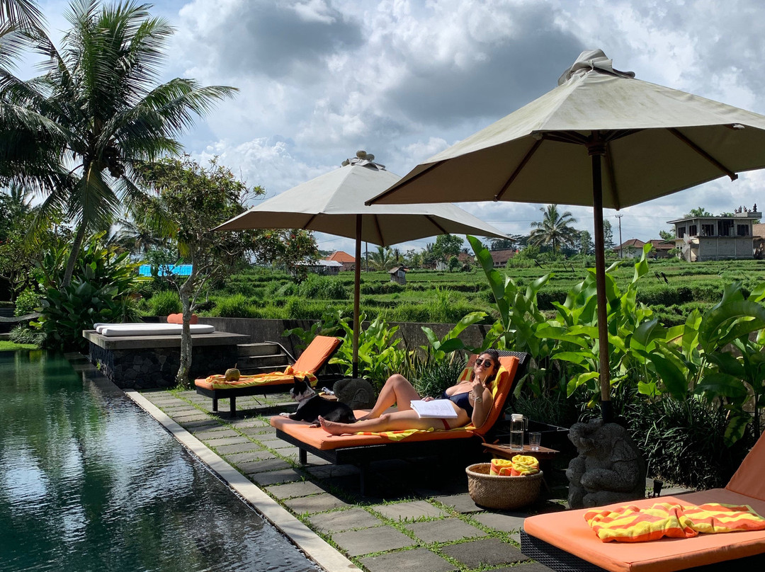 Amala Villas Ubud主图