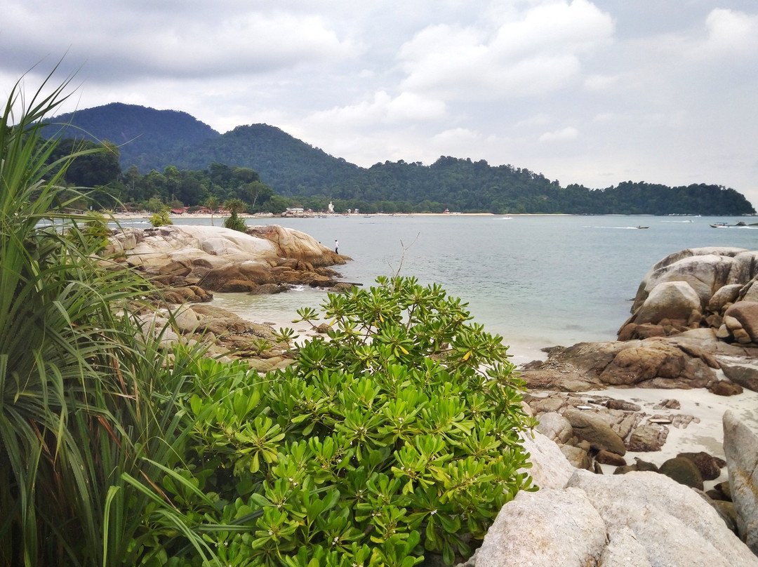 Nazri Nipah Camp主图