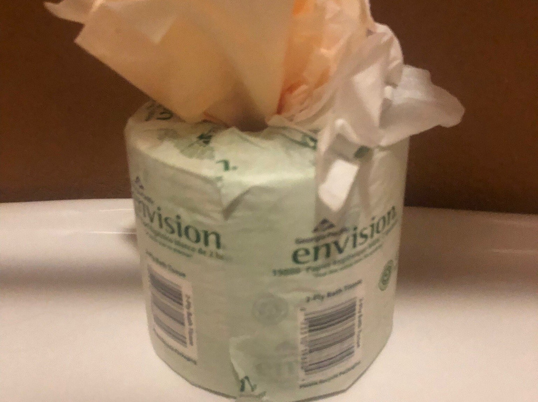 Wilderness at the Smokies-塞维尔维尔必去景点