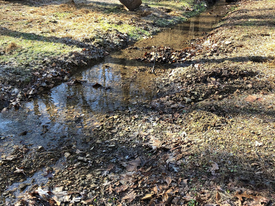 Jefferson Memorial Forest-Fairdale必去景点