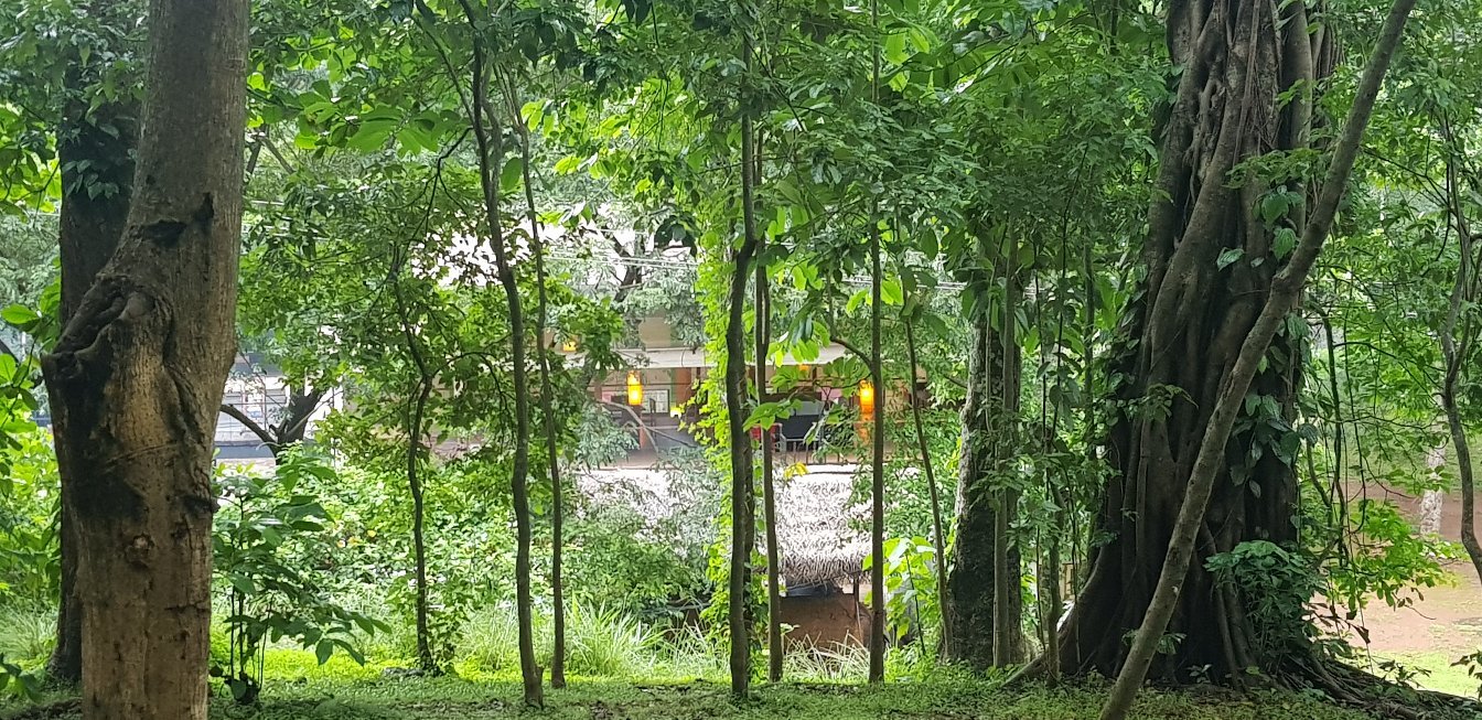 Riverston Strathisla Bungalow-官方