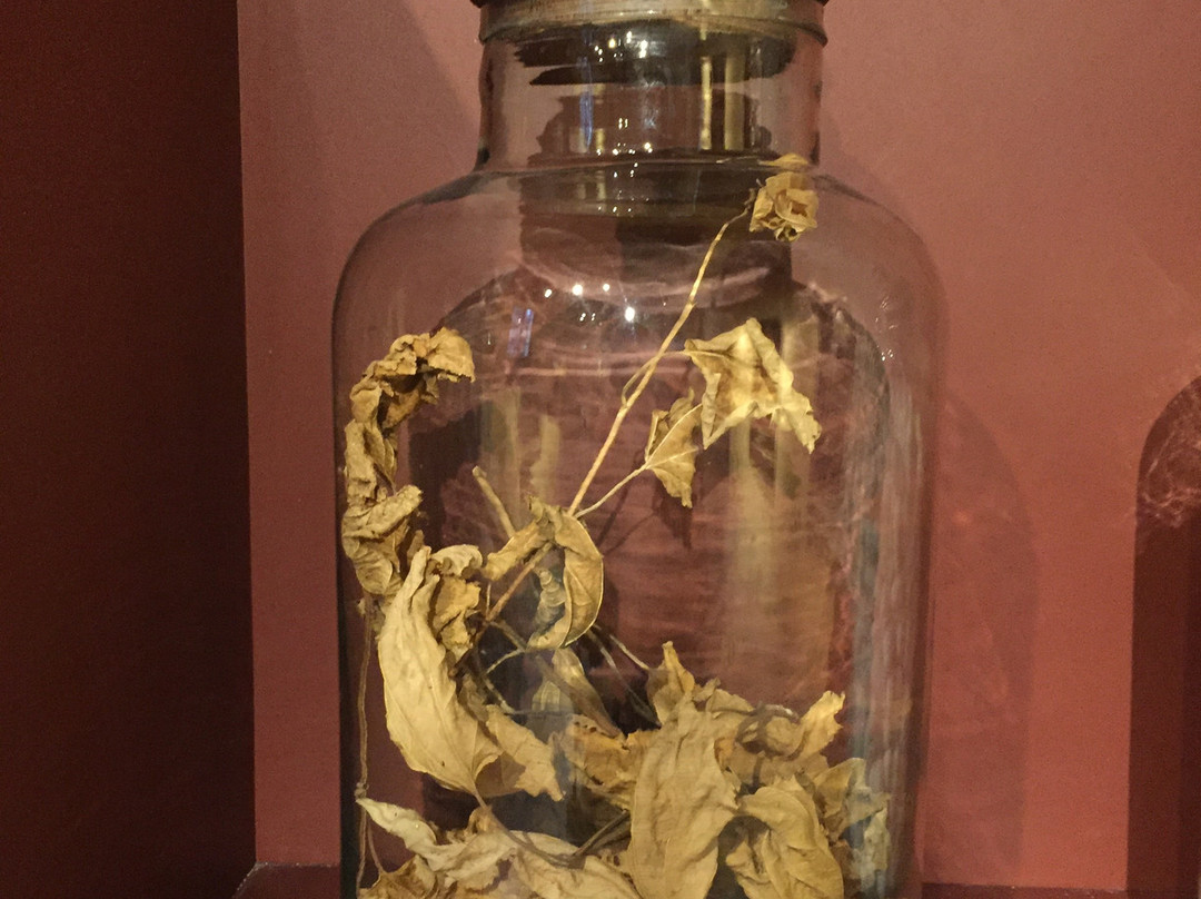 MUST Museo del Territorio Vimercatese-维梅尔卡泰必去景点