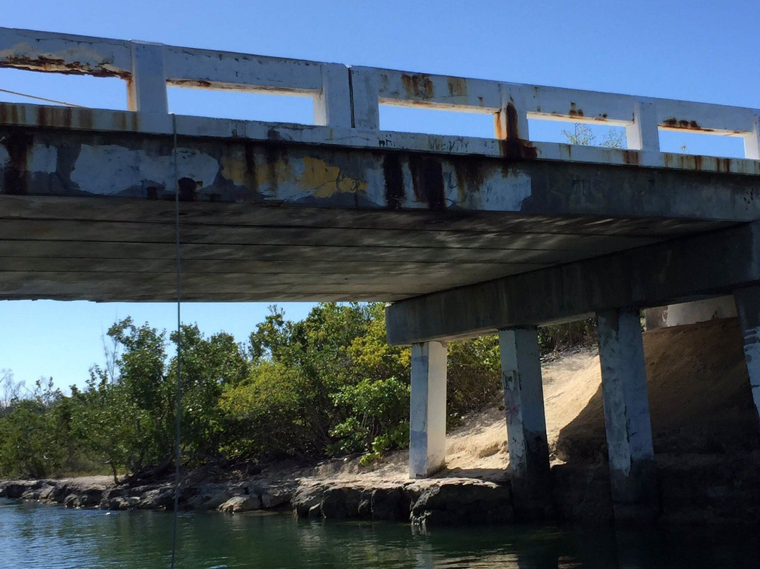 Key Largo Bicycle and Adventure Tours景点图片