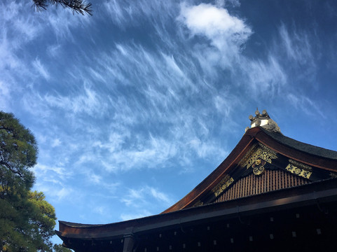 Cool Kyoto Walking Tour-京都市必去景点