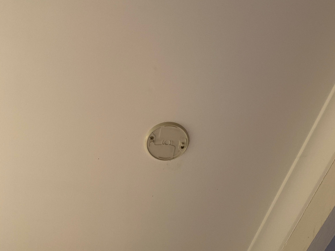 Warwick Motor Inn主图