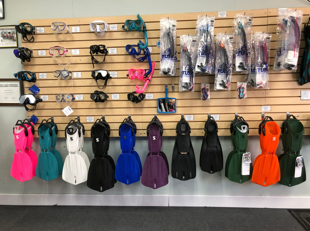 Bubbles or Not-Harlem必去景点