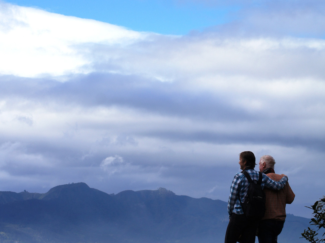 Forest of Orchids-Tenjo必去景点