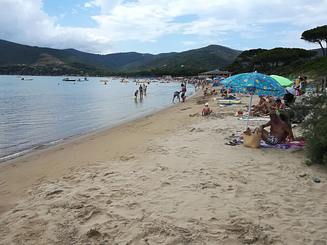 Lacona Beach景点图片