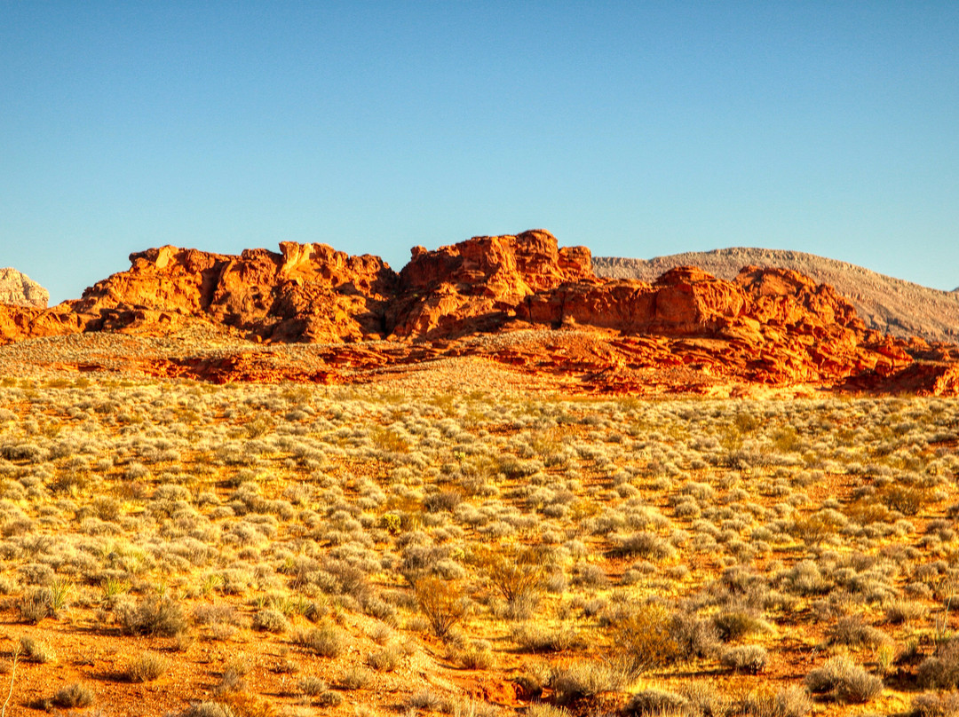 Gold Butte National Monument景点图片