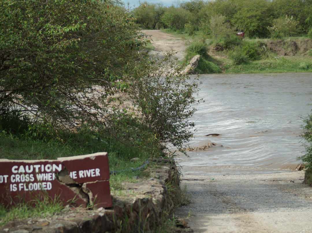 Mara River-塞伦盖蒂国家公园必去景点