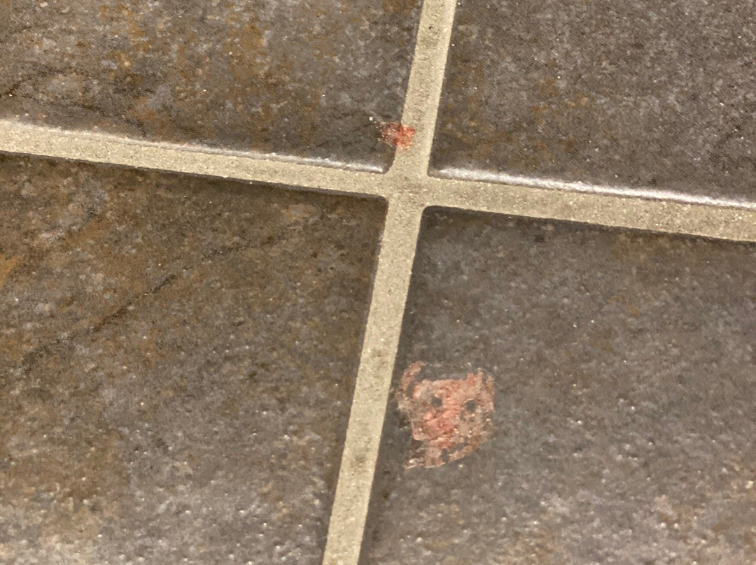 平维尼赫拉特特罗姆瑟酒店主图
