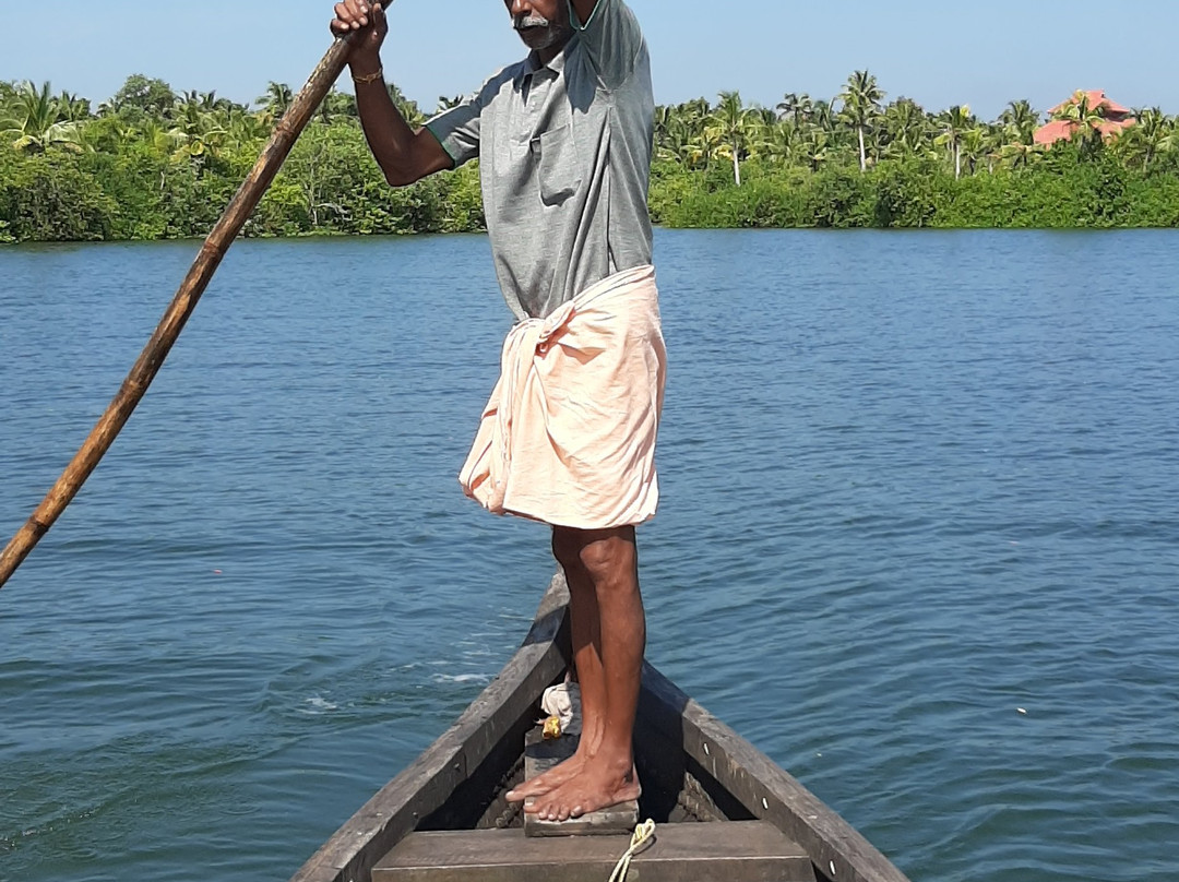 Munroe Paradise主图