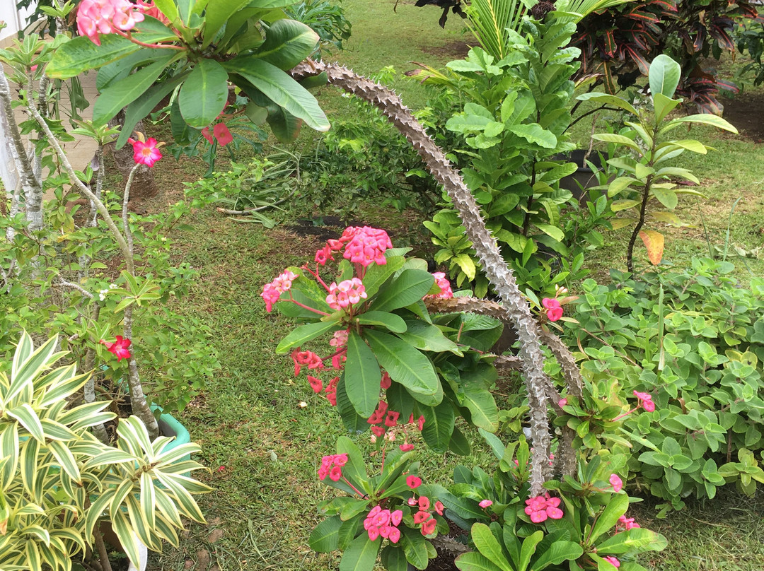 Hôtel-Restaurant l'Albatros主图