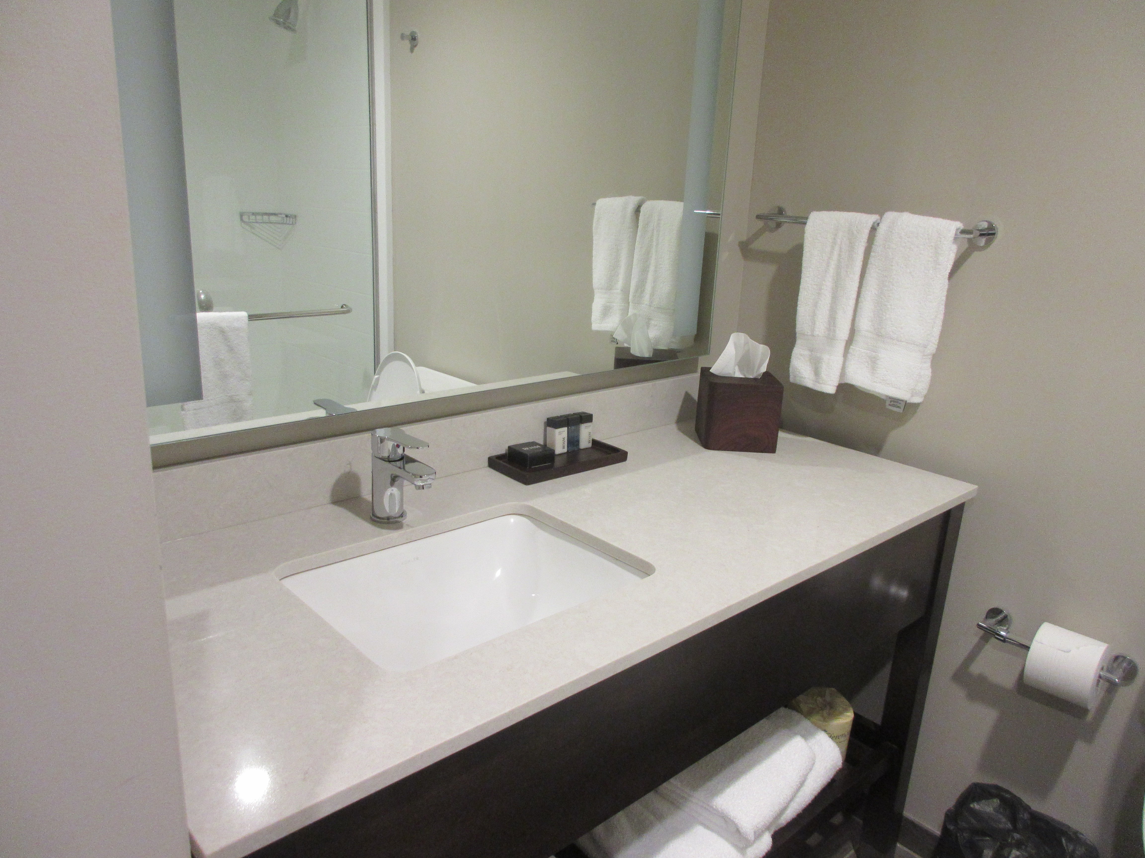Hotel Madison & Shenandoah Conference Center-浴室
