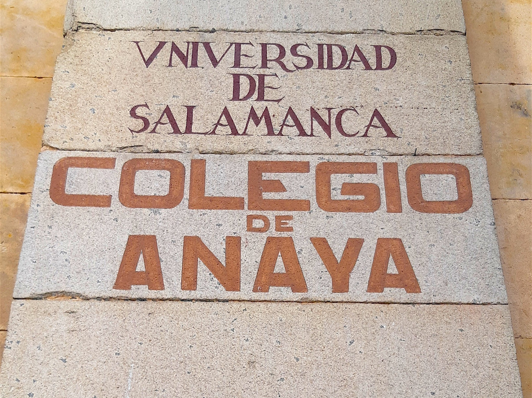 Palacio de Anaya景点图片
