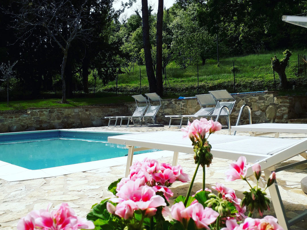 La Valle Verde B&B/ Appartments主图
