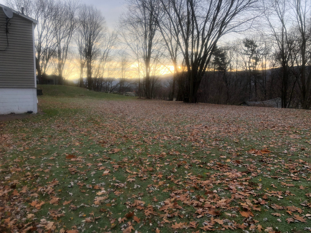 Algonkin Motel LLC主图