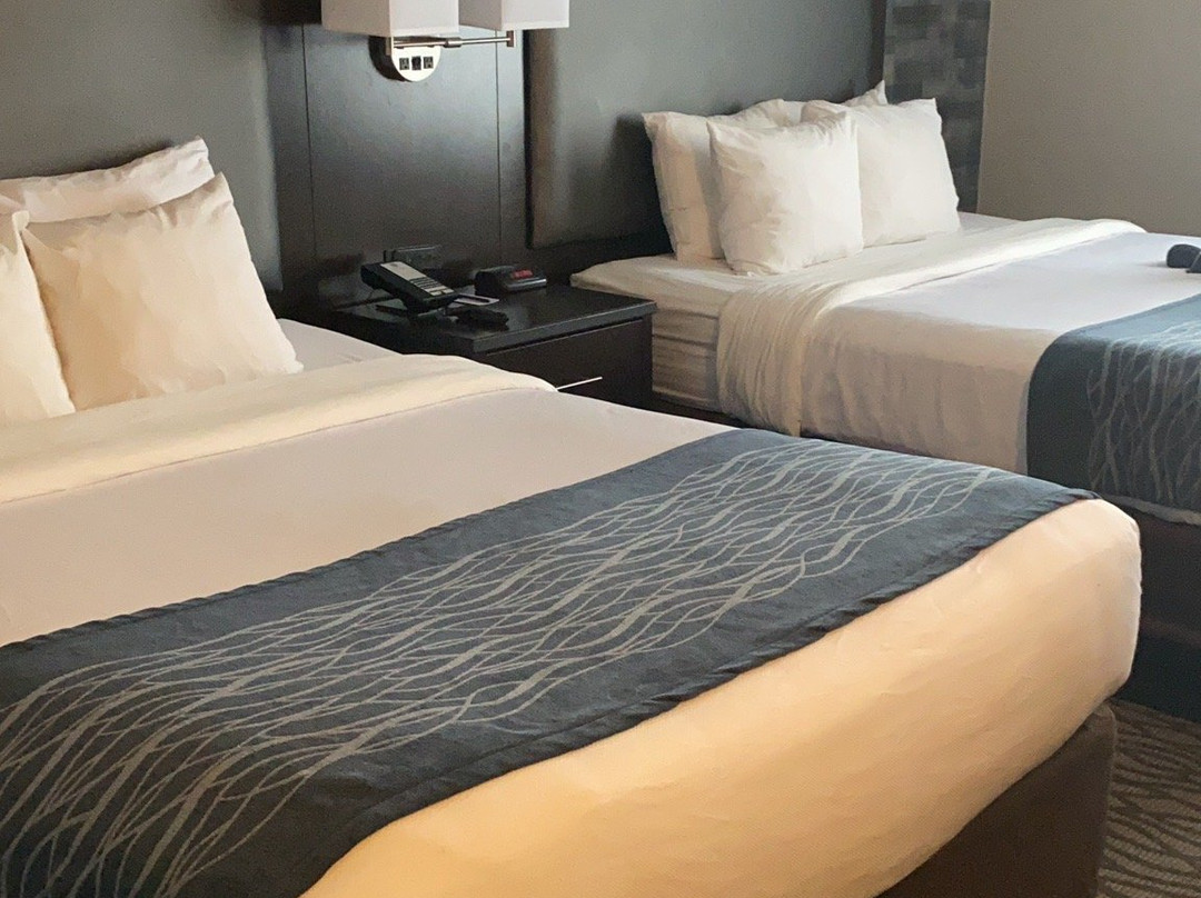 Comfort Inn Montreal Aeroport主图