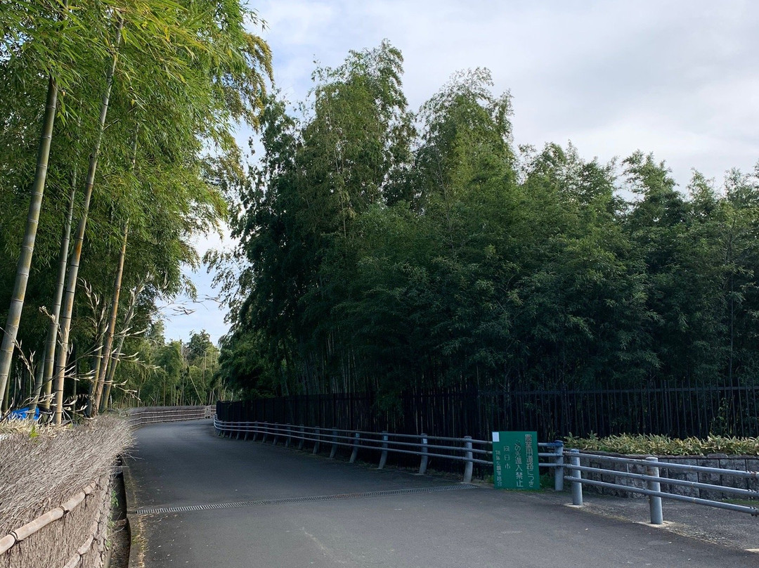 Takenomichi-向日市必去景点