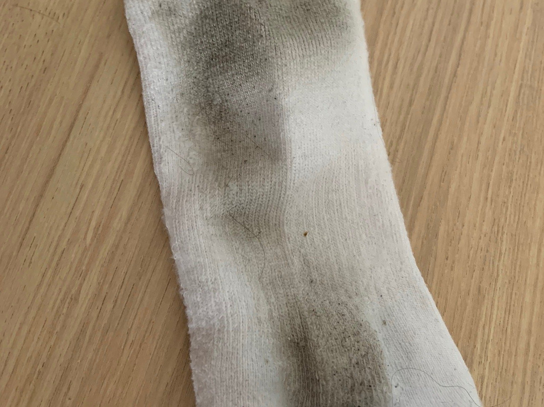 Hotel Blue Tree Towers Joinville主图