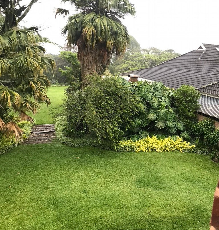 Birds of Paradise B&B主图