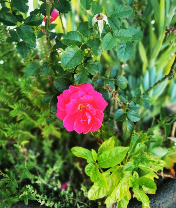 Lakeside Lodge主图