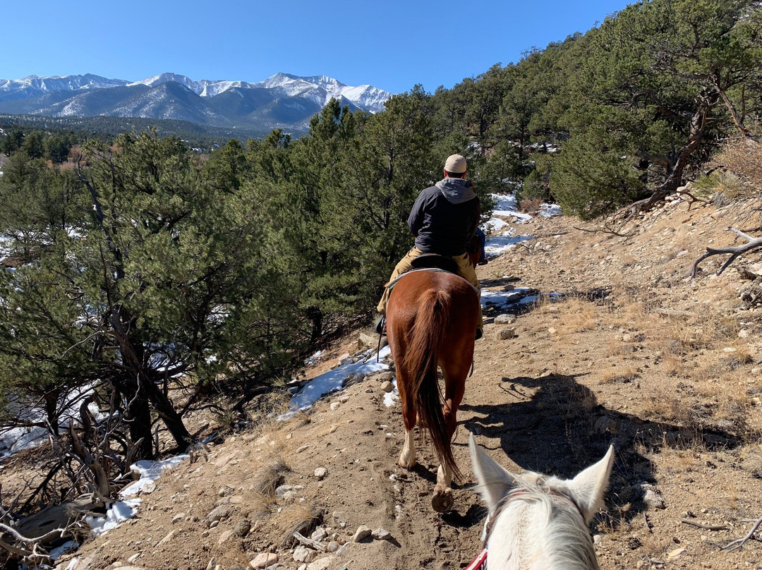 Mt Princeton Hot Springs Stables景点图片