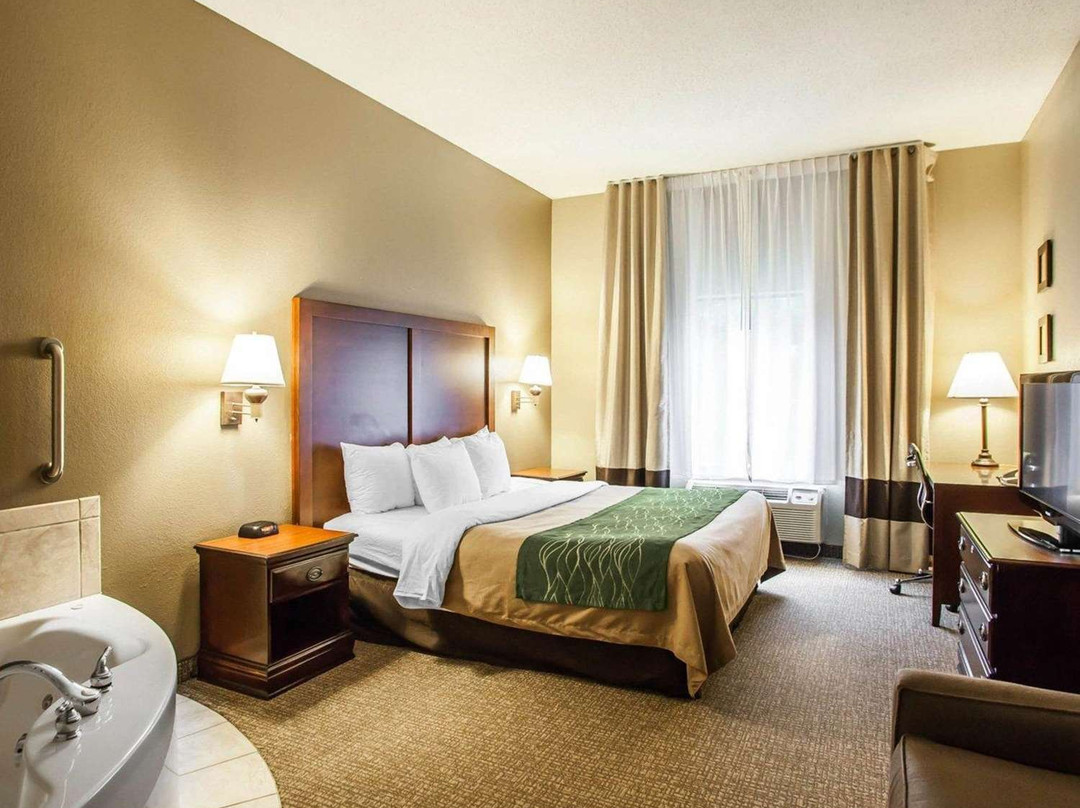 Comfort Inn & Suites主图