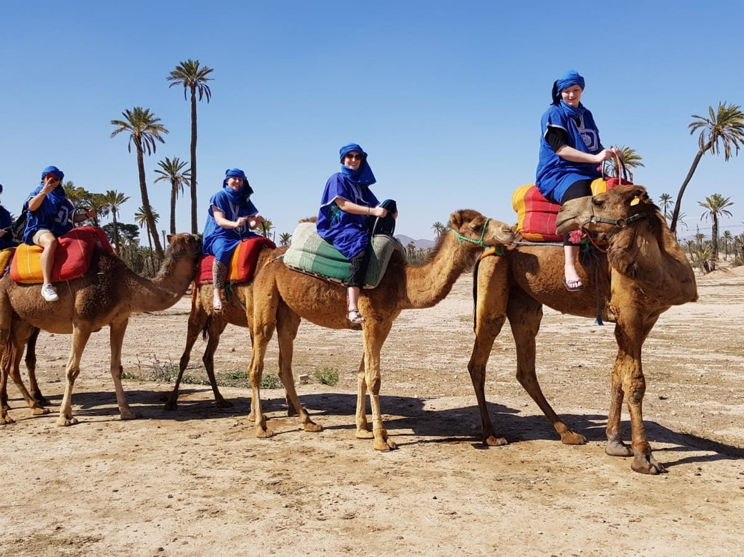 Star excursions marrakech-马拉喀什必去景点