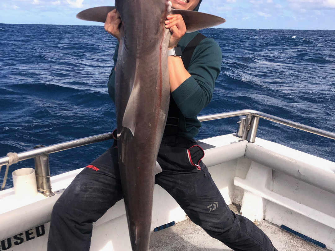 Reef Encounters Fishing Charters景点图片