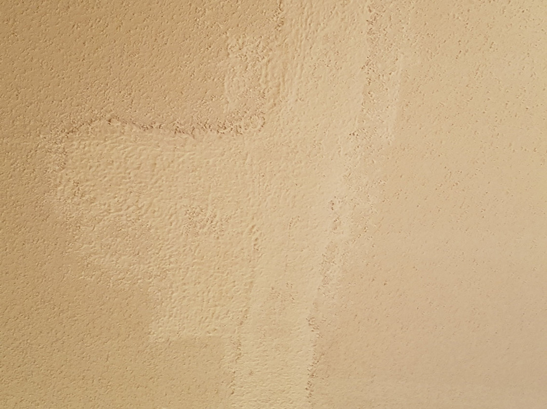 Albatross Hotel主图