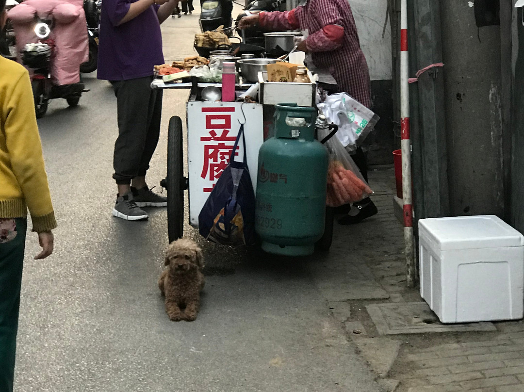 Tour in Shanghai-上海市必去景点