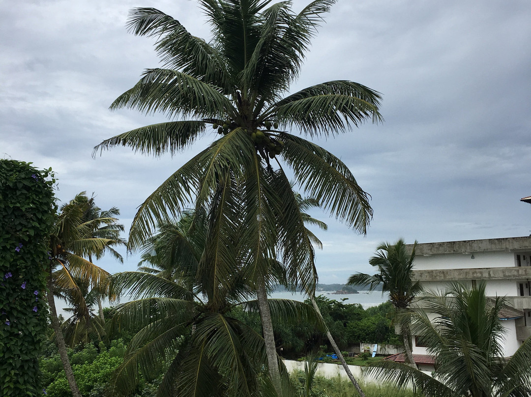 The Surfer Surf Camp Sri Lanka主图