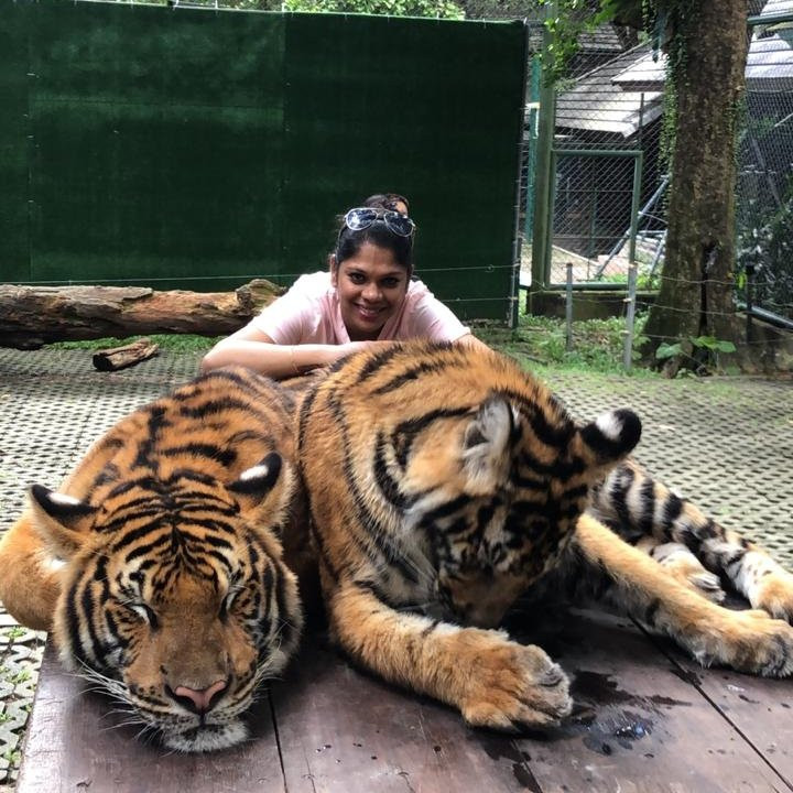 Tiger Kingdom Phuket-卡图必去景点