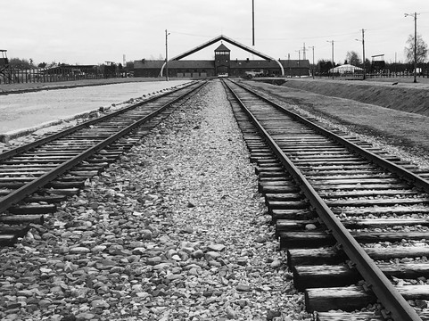 Dydko Cracow Tours-克拉科夫必去景点