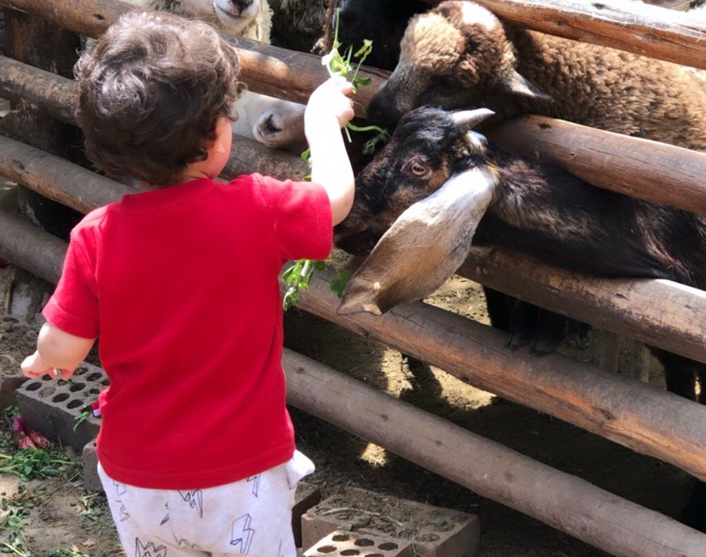 Granja Interactiva Fundo San Vicente-Lurin必去景点