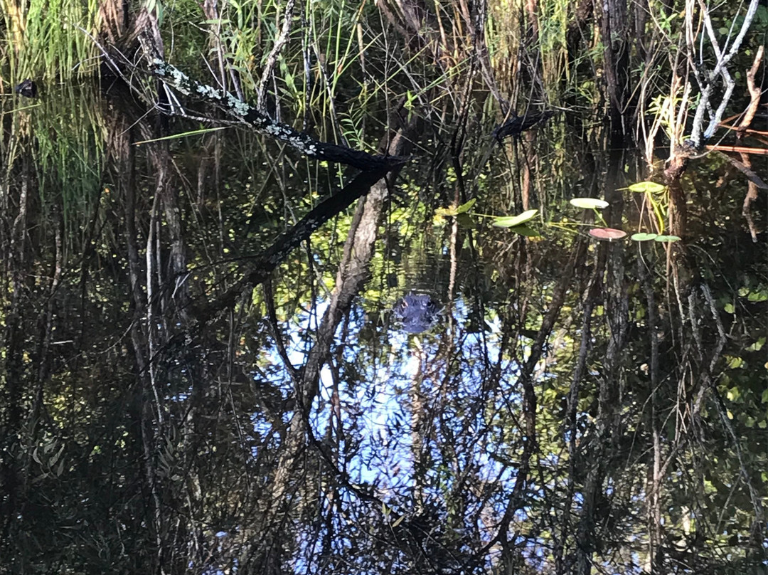 Tippy's Outpost Airboat Rides-奥乔皮必去景点
