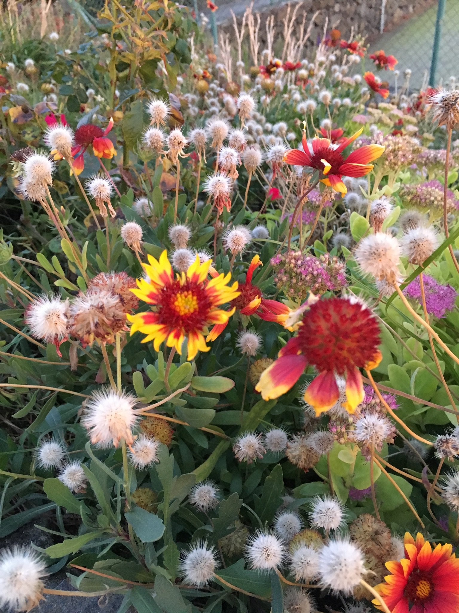 泰努塔谷斯马诺酒店-浴室