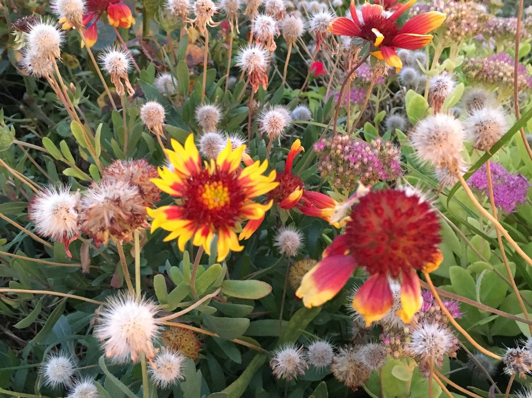 泰努塔谷斯马诺酒店主图