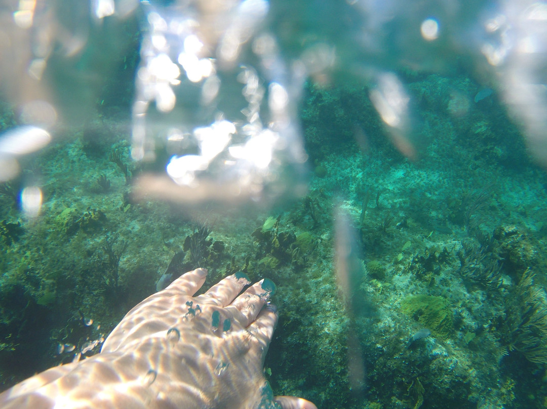 Island Adventure TCI-普罗维登西亚莱斯必去景点