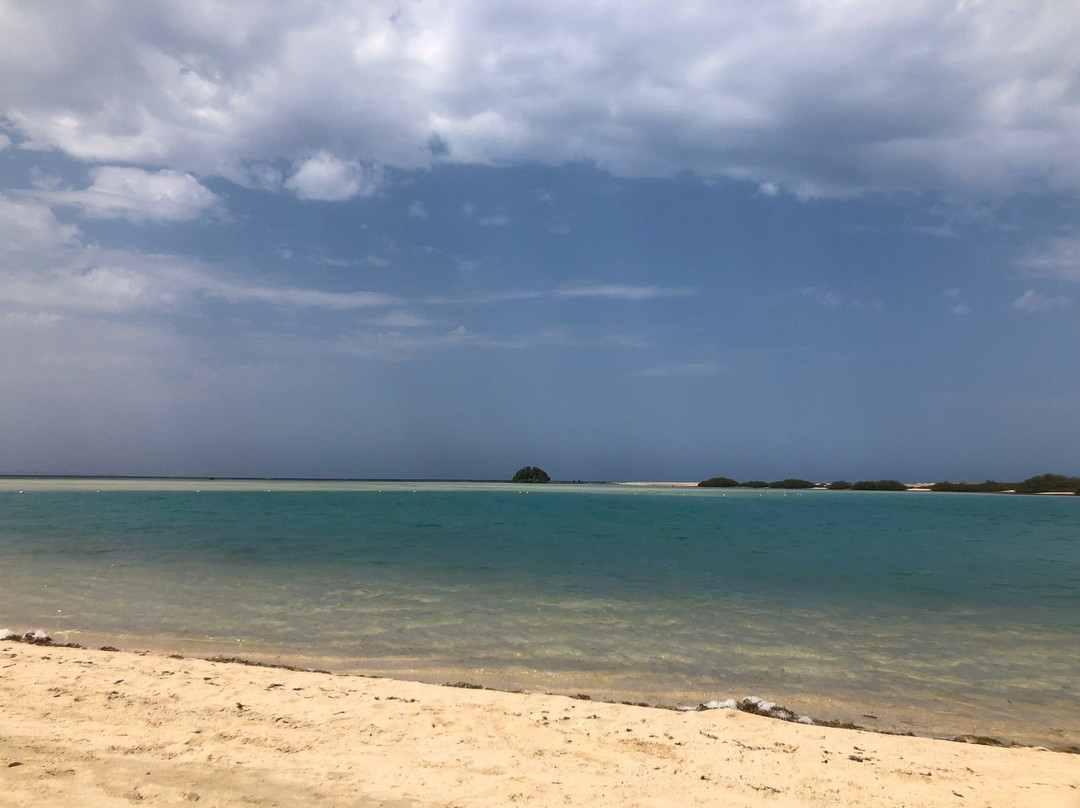 El Qulan Mangrove Forest-马萨阿拉姆必去景点