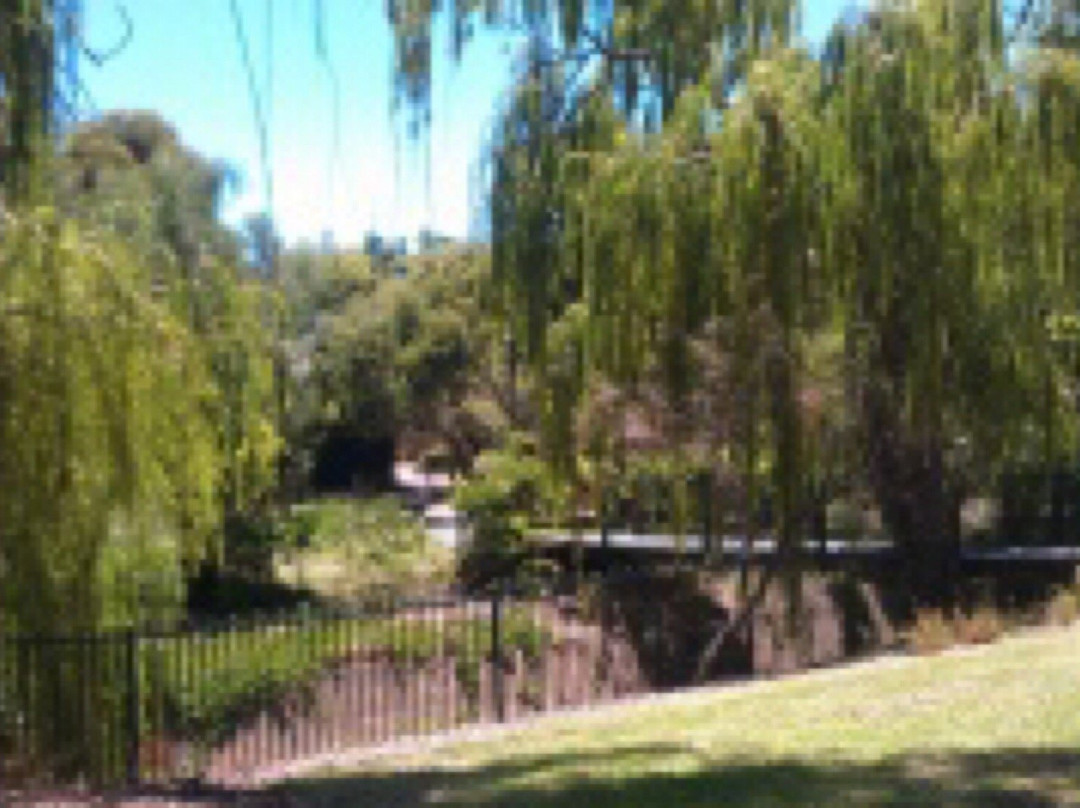 Wayville Reserve景点图片