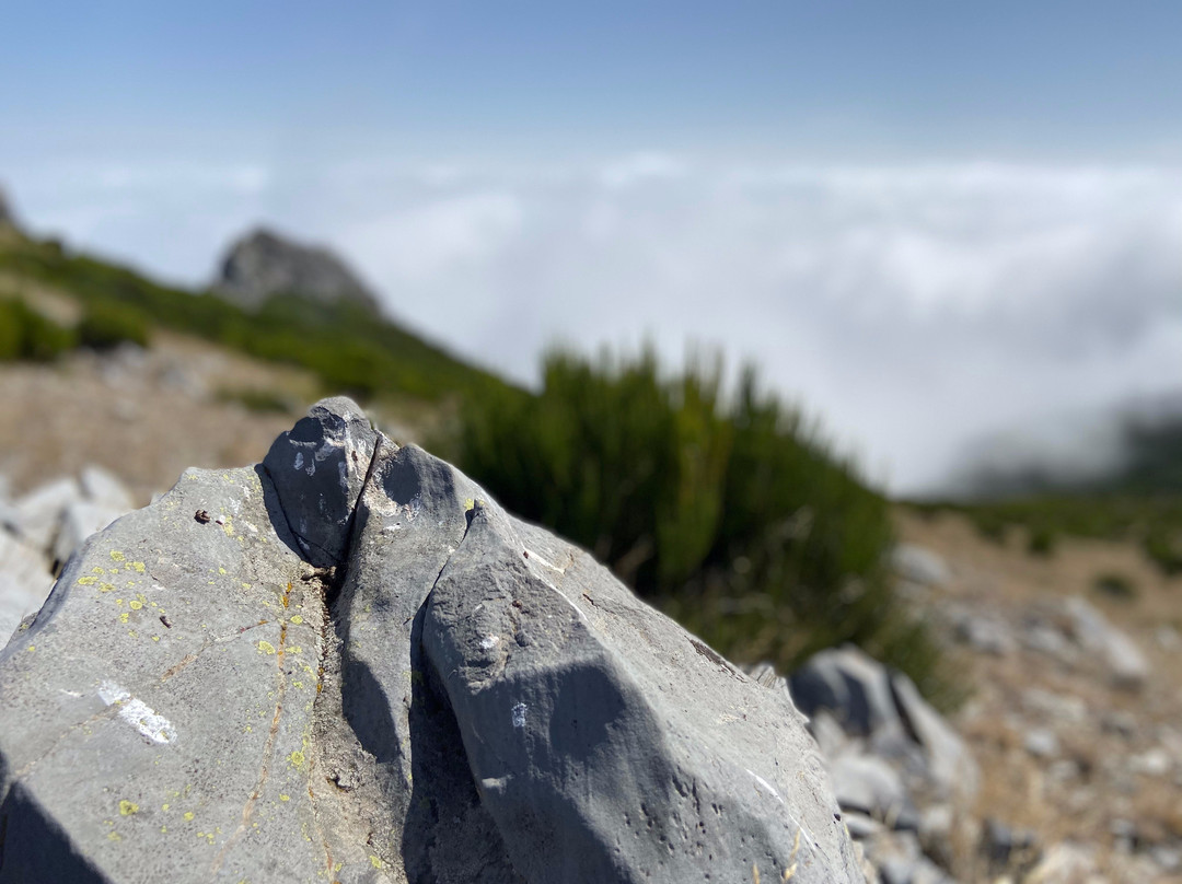 Madeira Wandern mit Christa-Canico必去景点