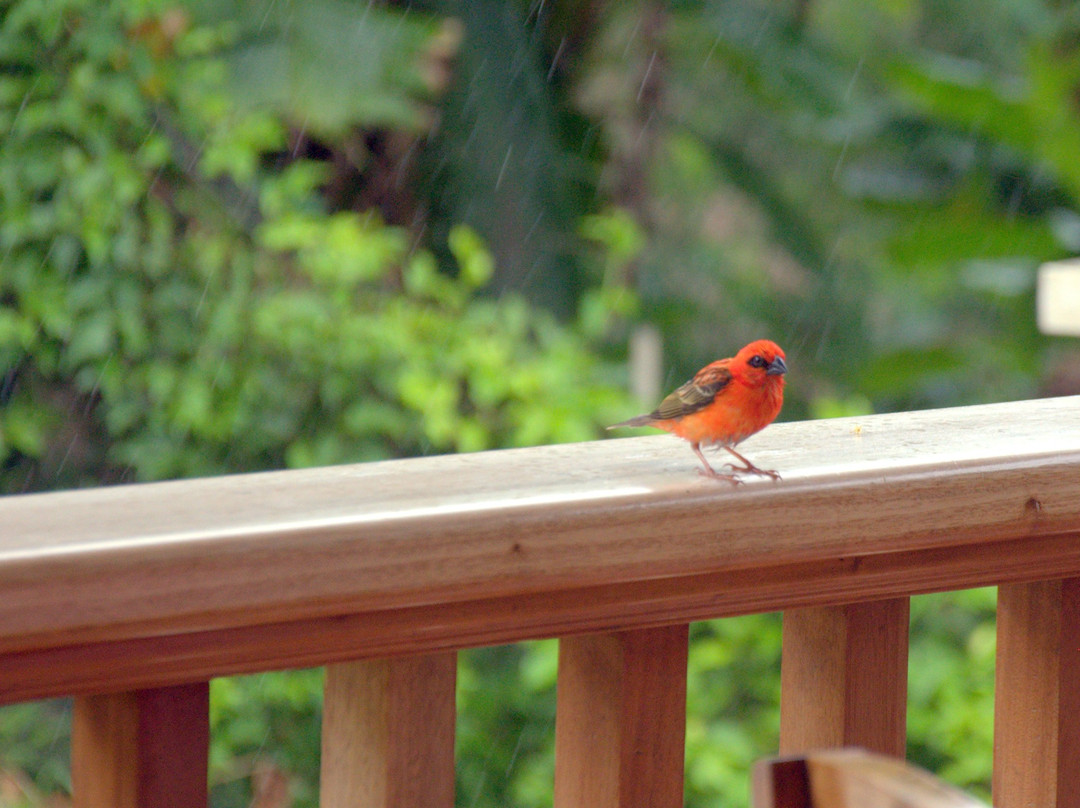 Bernique Guesthouse主图