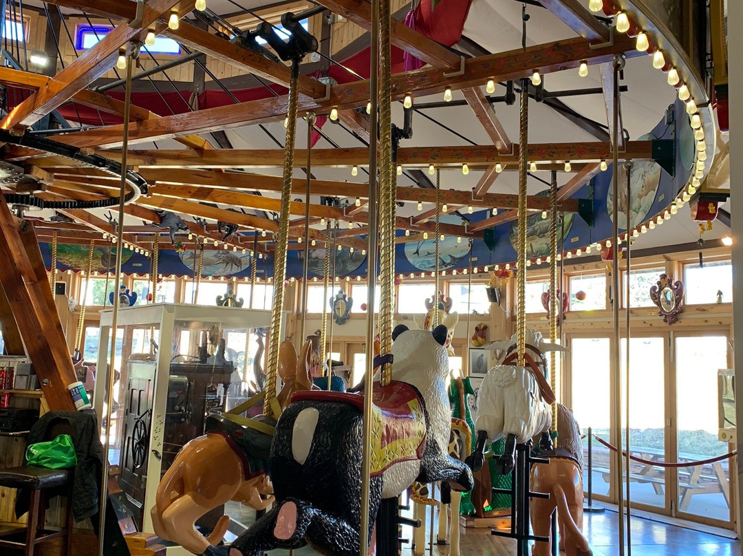 The Carousel of Happiness