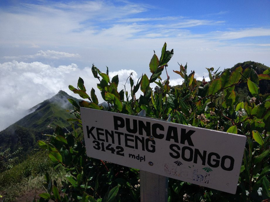 Mount Merbabu National Park-沙拉迪加必去景点