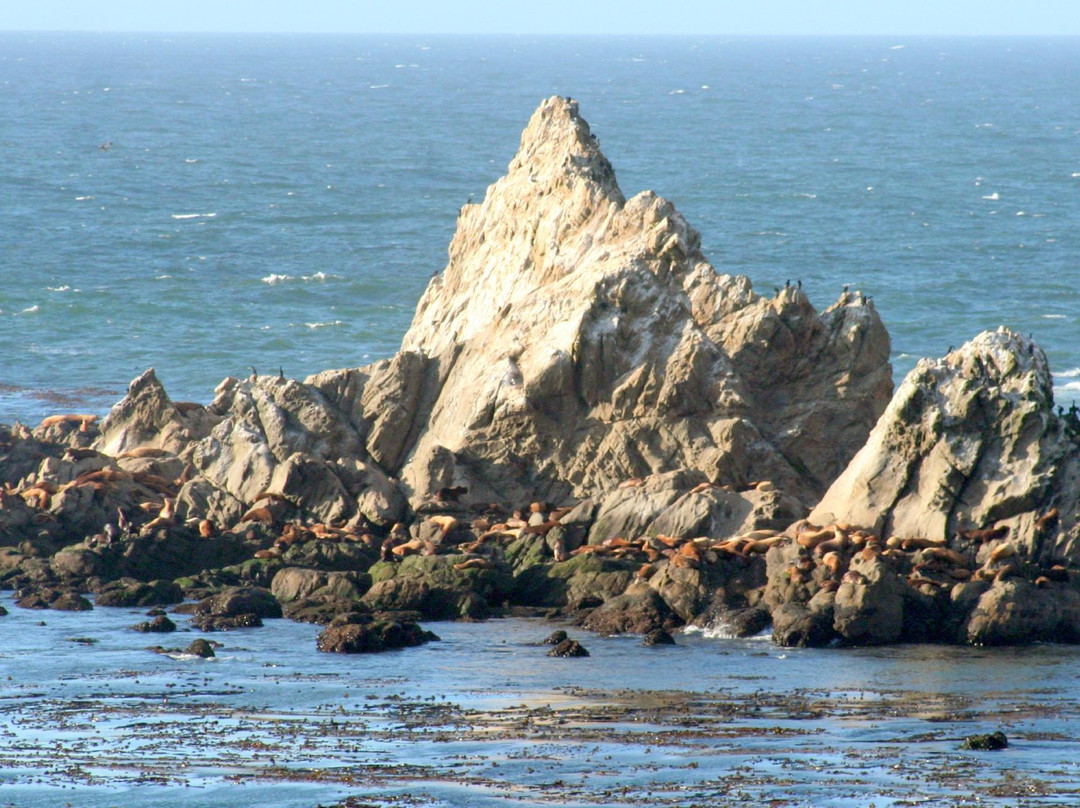 Cape Arago Lighthouse景点图片