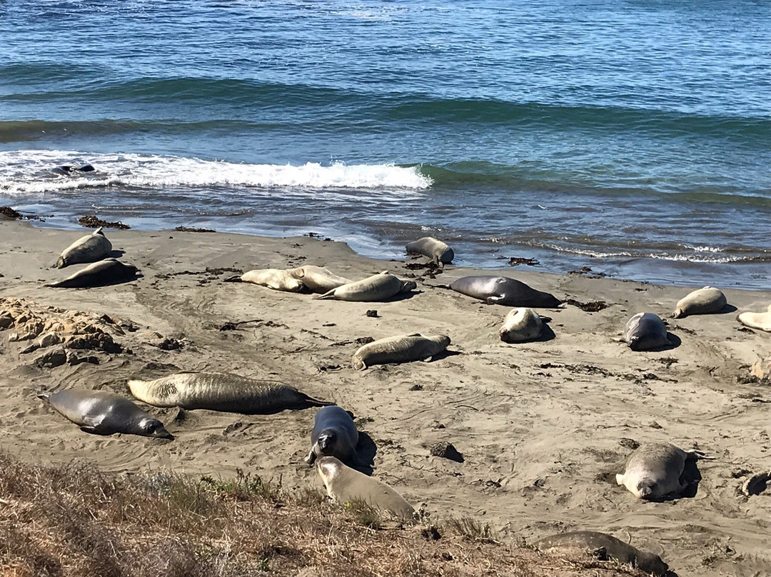 California Coastal Trail-红木国家公园必去景点