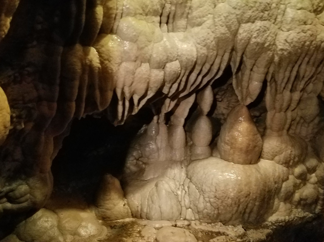 Marion旅游景点-Linville Caverns