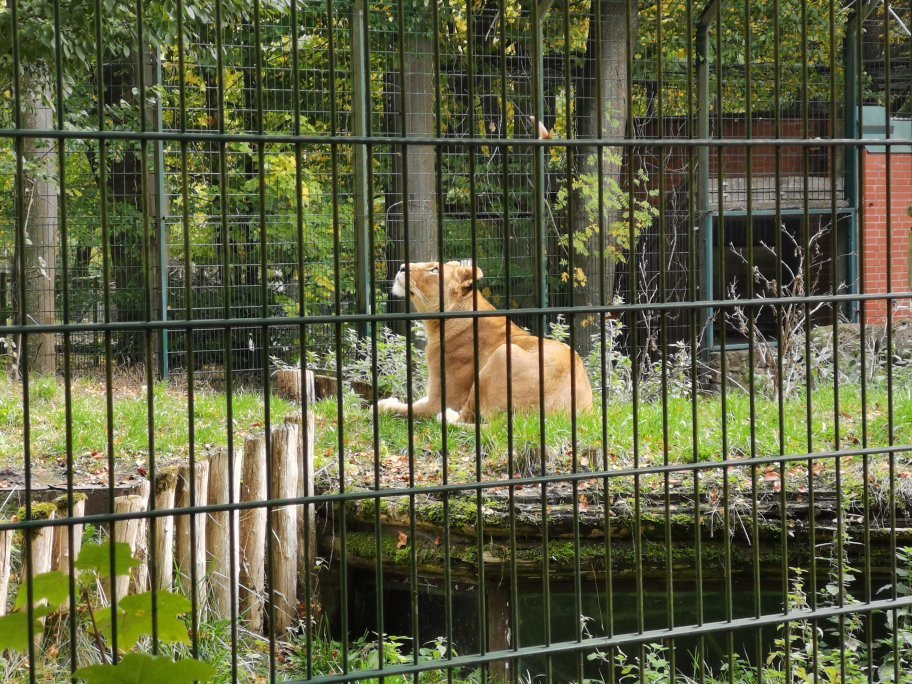 Zoo Eberswalde-Eberswalde必去景点